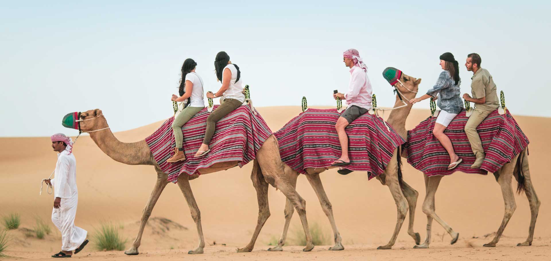 Camel Desert Safari